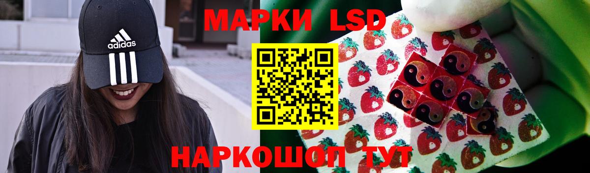LSD-25 экстази ecstasy  Вход с VPN  LSD-25 экстази ecstasy  Новоалександровск 