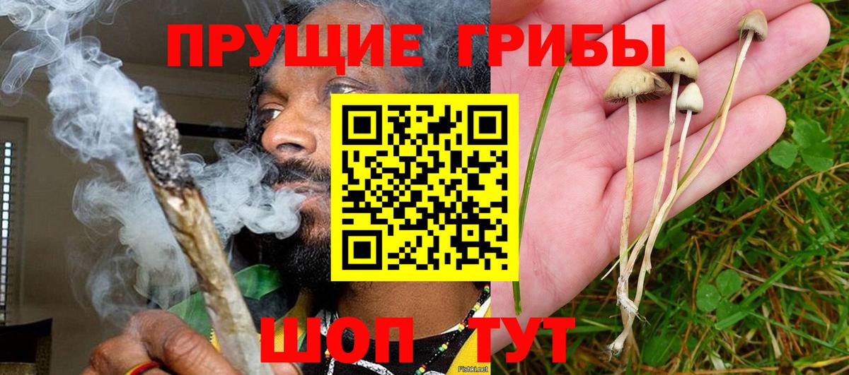 Псилоцибиновые грибы прущие грибы  Вход с VPN  Новоалександровск 